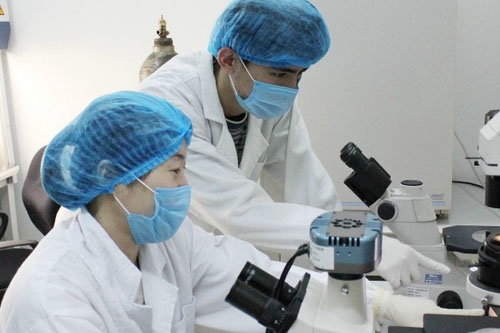 報關(guān)、報檢、檢驗檢疫、商檢、查驗之間的區(qū)別