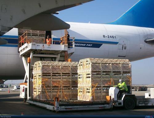 1722823076995555.jpeg 美國空運分泡