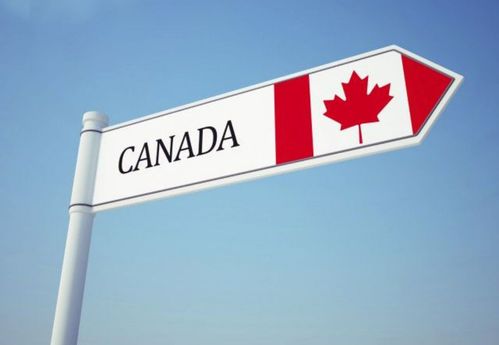 加拿大海運(yùn)超大件 加拿大海運(yùn)超大件